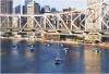 Eight (8) Citycats in formation